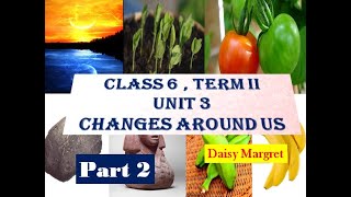 6th Std Term 2 UNIT 3CHANGES AROUND US  Part 2  Samacheer syllabus  Splendiferous Science [upl. by Yssirk]