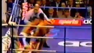 prince naseem hamed highlights [upl. by Barrie]