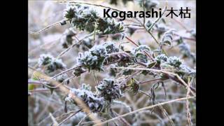 Kogarashi 木枯 [upl. by Gnap]