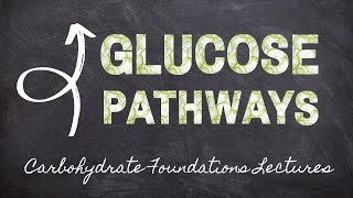 Pathways of Glucose Metabolism  Part 5 Carbohydrate Foundations  Macronutrients Lecture 51 [upl. by Larrej]