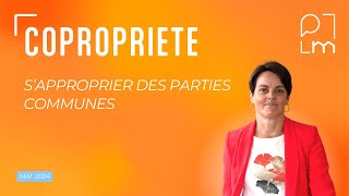 Appropriation de parties communes en copropriété [upl. by Feilak]