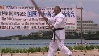 Kata EIKU NO HO  Ryueiryu Kobudo Okinawa [upl. by Ailegra]