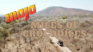 CROCODILES IN AFRICA  Zambezi River Hunt  PART ONE [upl. by Ynomrah]