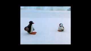 Pingu Cannot Lose Clip  Pingu Official Channel [upl. by Neik]