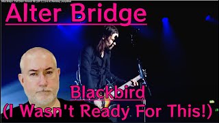 Alter Bridge  Blackbird Live  Wembley 2011  Margarita Kid Reacts [upl. by Nairadas]