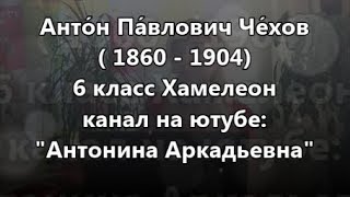 Хамелеон 6 класс Антон Павлович Чехов [upl. by Ahser696]