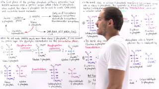 Nonoxidative Phase of Pentose Phosphate Pathway [upl. by Shapiro]