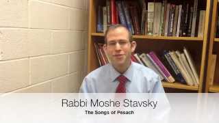 Rabbi Moshe Stavsky Pesach Dvar Torah [upl. by Eadas]