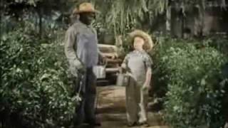 Shirley Temple Singing and dancing 19361938 [upl. by Kreager973]