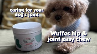 Hip amp joint supplement for dogs  Wuffes [upl. by Barling]