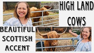 HIGHLAND COWS amp A BEAUTIFUL SCOTTISH ACCENT tasteperthshire6186 scottishhighlands [upl. by Allcot]