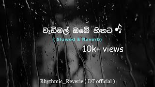 වැඩිමල් ඔබේ හිතට  Slowed amp Reverb  Wadimal Obe Hithata  Pawan Minon [upl. by Siver]