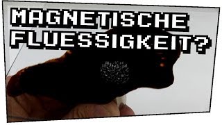 Magnetische Flüssigkeit Ferrofluid  Heimexperimente 08 [upl. by Salomi]