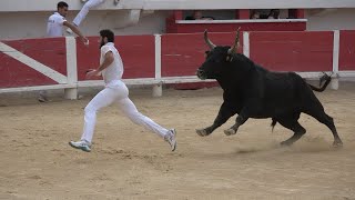 SAINTESMARIES DE LA MERFinale des Taus26102022Course Camarguaise [upl. by Aleahs]