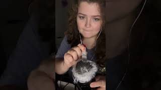 ASMRGlue Stick on Mic asmr relax asmrsounds relaxing satisfying [upl. by Diann681]