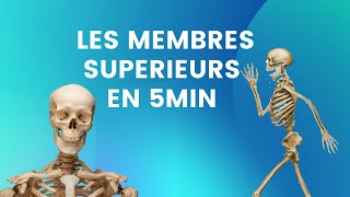 LES MEMBRES SUPERIEURS EN 5MIN [upl. by Hpejsoj]