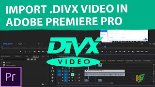 How to Import DivX Video in Adobe Premiere Pro  Digital Video Express File [upl. by Janek]