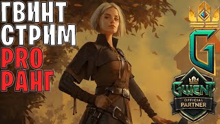 ПУТЬ НОВИЧКА — АНДЕГРАУНД СТРИМ  GWENT [upl. by Mile675]