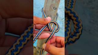 The King Of Knots bowline  Bowline on the bight knot shorts [upl. by Nnasor484]