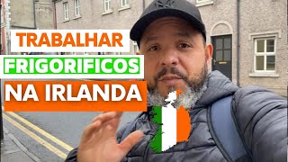 Trabalhar em frigoríficos na IRLANDA Oque precisa [upl. by Erde436]