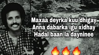 HEES  Daandaansi Caashaq  Maxamed Mooge Liibaan  Lyrics [upl. by Ettie]