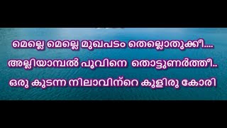 Melle Melle Mukhapadam Karaoke With Lyrics Malayalam [upl. by Vernen]