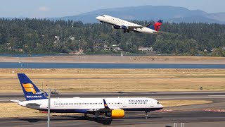 4 Minutes of PURE Plane Action at Portland International Airport PDX [upl. by Ijnek]