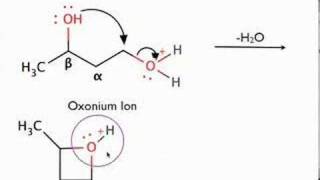 Organic Chemistry  Mechanism of Diol Cyclization [upl. by Ramoj]