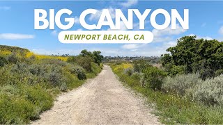 Big Canyon  Newport Beach Ca  4K Walking [upl. by Aihsyn928]