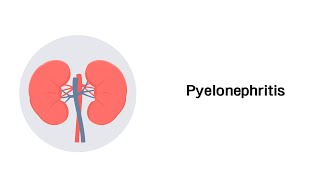 Nierenbeckenentzündung  Pyelonephritis Erkrankungen der Niere [upl. by Natek]