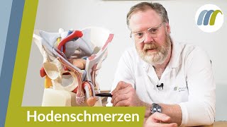 Schmerzen in den Hoden oder der Leiste  Das sind die häufigsten Ursachen  Urologie am Ring [upl. by Aronle826]