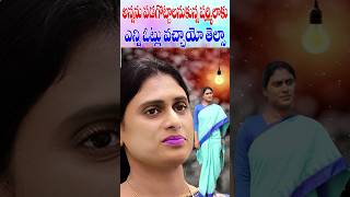 వై ఎస్ షర్మిల ఎన్ని ఓట్లతో ఓడిపోయిందో తెలుసా  YS Sharmila Kadapa Voting  Cine Megham [upl. by Beuthel206]