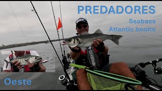 PREDADORES  Pesca no Oeste [upl. by Ddart]