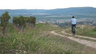 WinEcycle Tours in Langenlois [upl. by Mauretta]