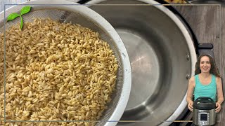 How to Cook Oat Groats in Instant Pot in 25 minutes So Easy [upl. by Asilla]