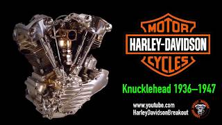 HarleyDavidson Engine Sound 19032020 harley motorcycle [upl. by Sidnala362]