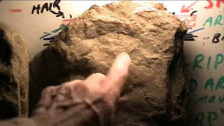 Mudfossil Triassic Foot Autopsy [upl. by Egap]