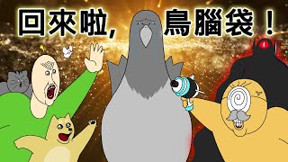 禽獸朋友們 回來啦，鳥腦袋！ [upl. by Dion868]