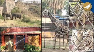 Hyderabad’s Zoo makes special arrangements for animals during summer [upl. by Haron101]