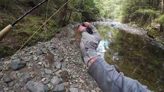 New Zealand Trout Fishing out of Lumsden Southland22 February 2024Day 7 Fishing Day 6  Part 2 [upl. by Cyndi]