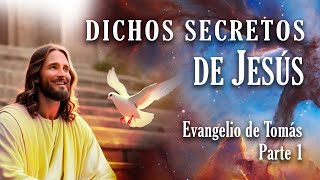 Dichos Secretos de Jesús  El Sembrador esparce sus semillas [upl. by Ynez]