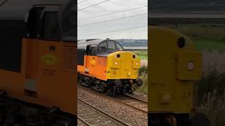 Trundle trundle class37 engineering train slow clips fyp locomotive [upl. by Areyk]