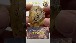 Moss Opalite  Before and After Tumble Polishing crystals geology rocksandminerals gemstone [upl. by Acile]