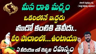 meena rashi మర్మం  meena rashi secrets  meena rasi characteristics  meena rasi  vsvtantram [upl. by Calla]