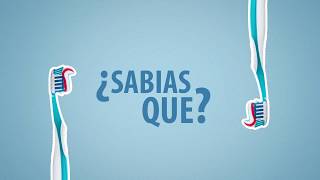 En el baño hay miles de bacterias y ahí está tu cepillo de dientes [upl. by Coleen]