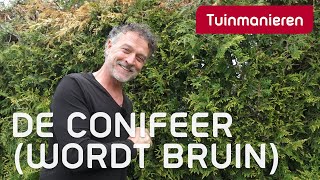 De conifeer wordt bruin  Tuinieren  Tuinmanieren [upl. by Avuha791]