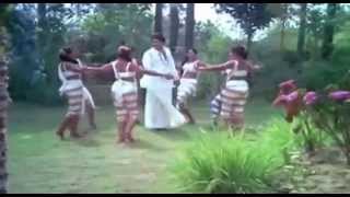 Vinnil Ninnum Vannirangum  Enthino Pookkunna pookkal  Malayalam Film Song HD [upl. by Eaves549]