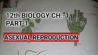 Class 12 biology chapter 1part 1 reproduction in organismsStudy with Farru [upl. by Eirehc]