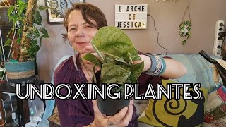 121 Unboxing plantes  123plantesdinterieur [upl. by Islaen]