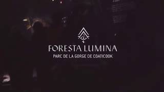 Foresta Lumina  Parc de la Gorge de Coaticook [upl. by Ahcarb]